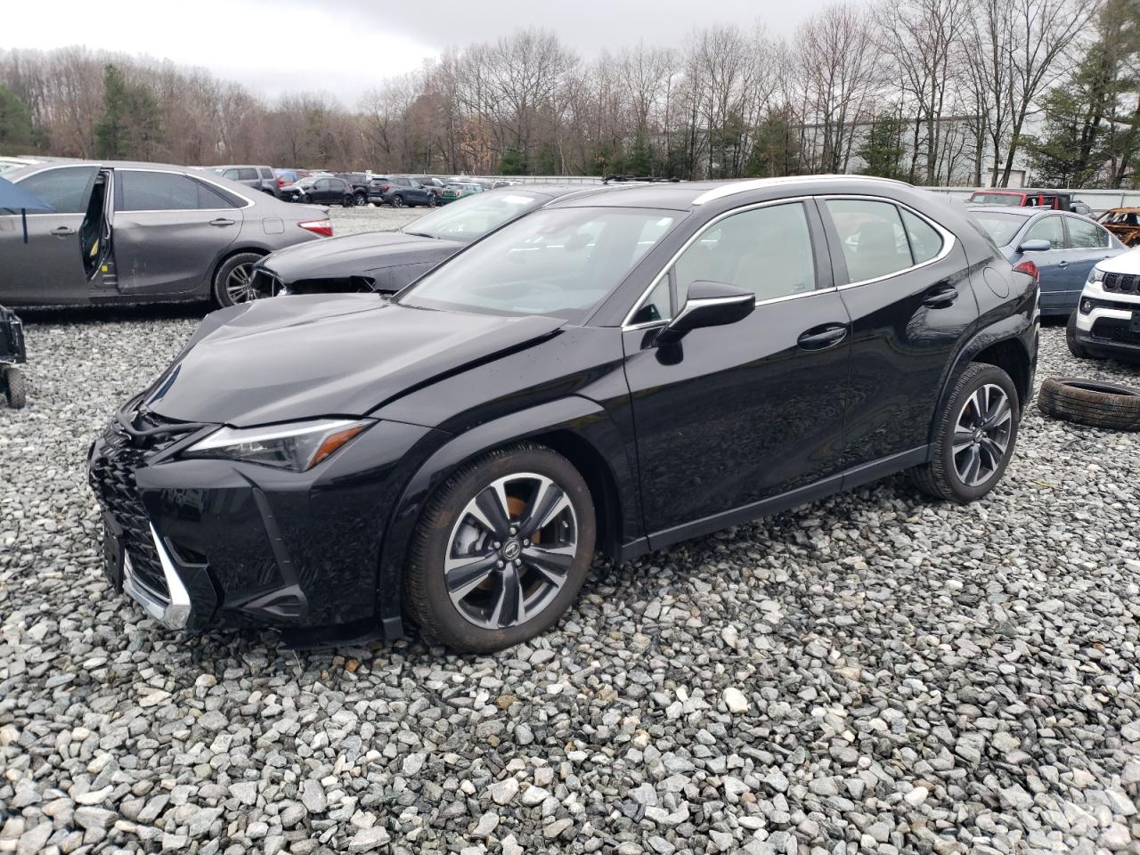 2024 Lexus Ux 250H Premium for Sale in North Billerica, MA - Front End