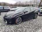 2024 Lexus Ux 250H Premium for Sale in North Billerica, MA - Front End