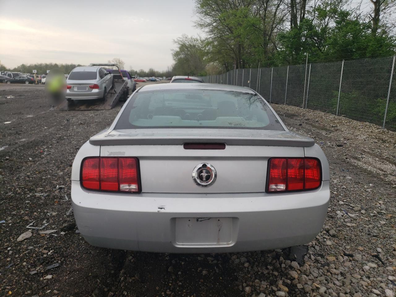 2008 Ford Mustang VIN: 1ZVHT80N385142049 Lot: 54693915