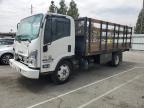 2023 Isuzu Nrr  for Sale in Rancho Cucamonga, CA - Front End