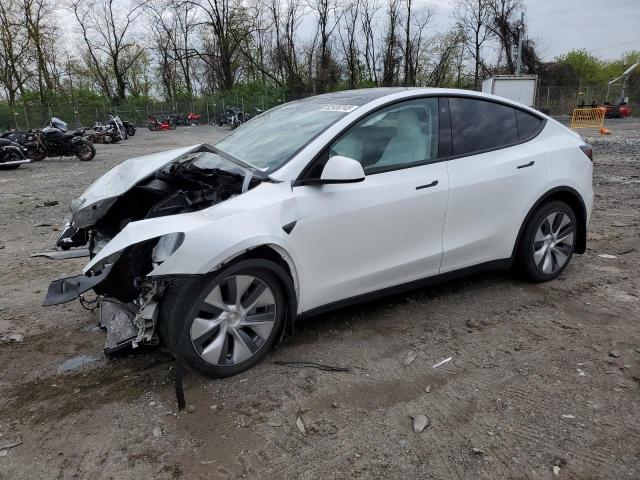  TESLA MODEL Y 2023 Белый