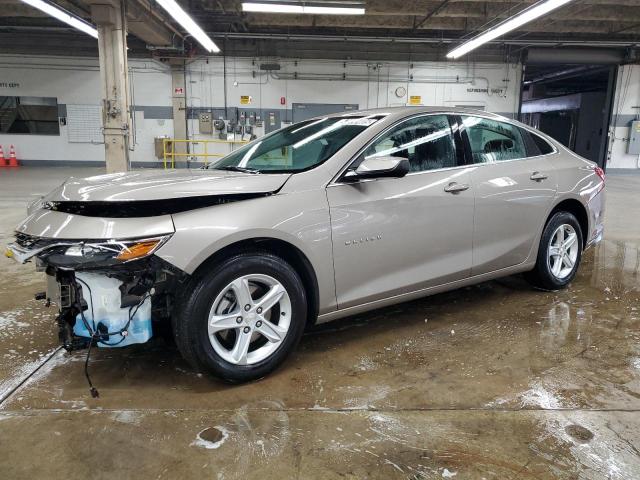 CHEVROLET MALIBU LT 2024