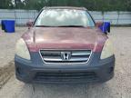 2006 Honda Cr-V Ex de vânzare în Knightdale, NC - Minor Dent/Scratches