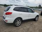 2007 Hyundai Santa Fe Se للبيع في Conway، AR - Front End