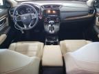 2019 Honda Cr-V Exl for Sale in Rogersville, MO - Side