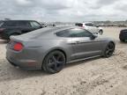 2021 Ford Mustang  for Sale in Houston, TX - Hail