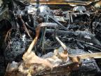 2024 Hyundai Palisade Limited de vânzare în Columbia Station, OH - Burn