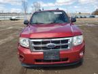 2012 Ford Escape Xlt за продажба в Columbia Station, OH - Front End