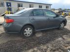 2010 Toyota Corolla Base na sprzedaż w Kapolei, HI - Front End