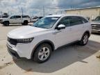 2023 Kia Sorento Lx en Venta en Haslet, TX - Hail