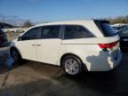 2016 Honda Odyssey Exl en Venta en Louisville, KY - Hail