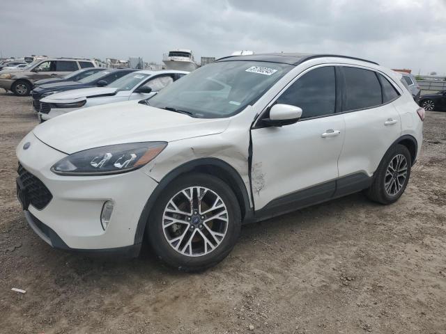  FORD ESCAPE 2020 Белы