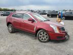 2011 Cadillac Srx Luxury Collection продається в Madisonville, TN - All Over