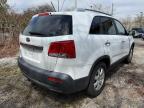 2013 KIA SORENTO LX à vendre chez Copart MA - NORTH BOSTON