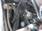 2004 HARLEY-DAVIDSON FXSTDI  for sale at Copart AZ - PHOENIX NORTH