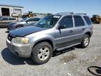 2007 Ford Escape Xlt for Sale in Earlington, KY - Hail