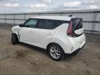 2024 Kia Soul Lx zu verkaufen in Fredericksburg, VA - Front End