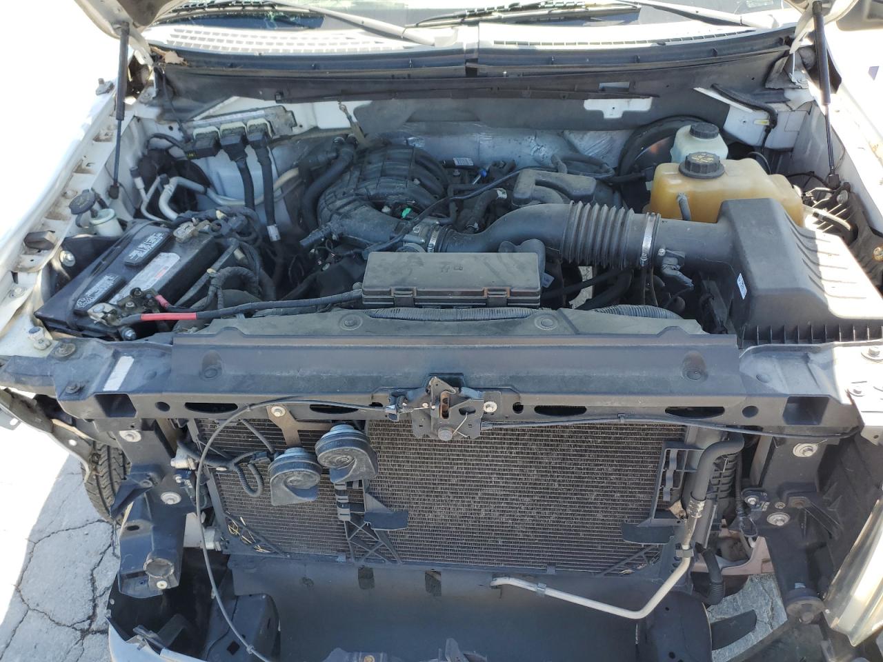 2013 Ford F150 VIN: 1FTMF1CM9DKG17301 Lot: 52807415