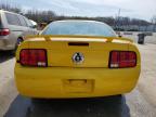 2005 Ford Mustang  на продаже в Louisville, KY - Rear End