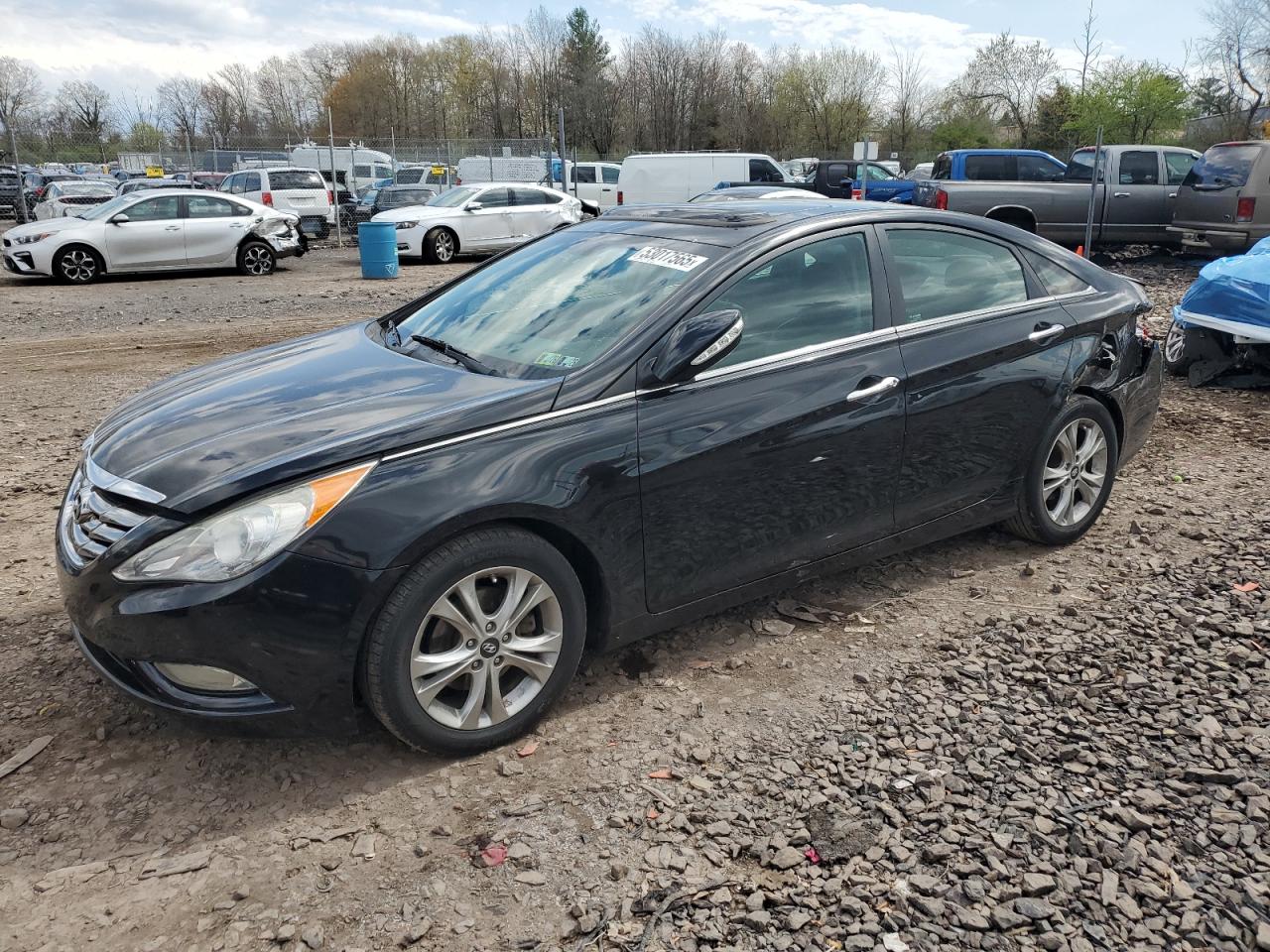 2013 Hyundai Sonata Se for Sale in Chalfont, PA - Rear End