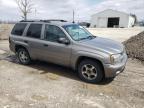 2006 Chevrolet Trailblazer Ls for Sale in Cicero, IN - Minor Dent/Scratches