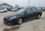 2016 Hyundai Sonata Hybrid იყიდება Pekin-ში, IL - All Over