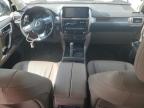 2023 Lexus Gx 460 for Sale in Wilmer, TX - All Over