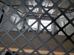2005 Ford Econoline E250 Van for Sale in Windsor, NJ - Rear End