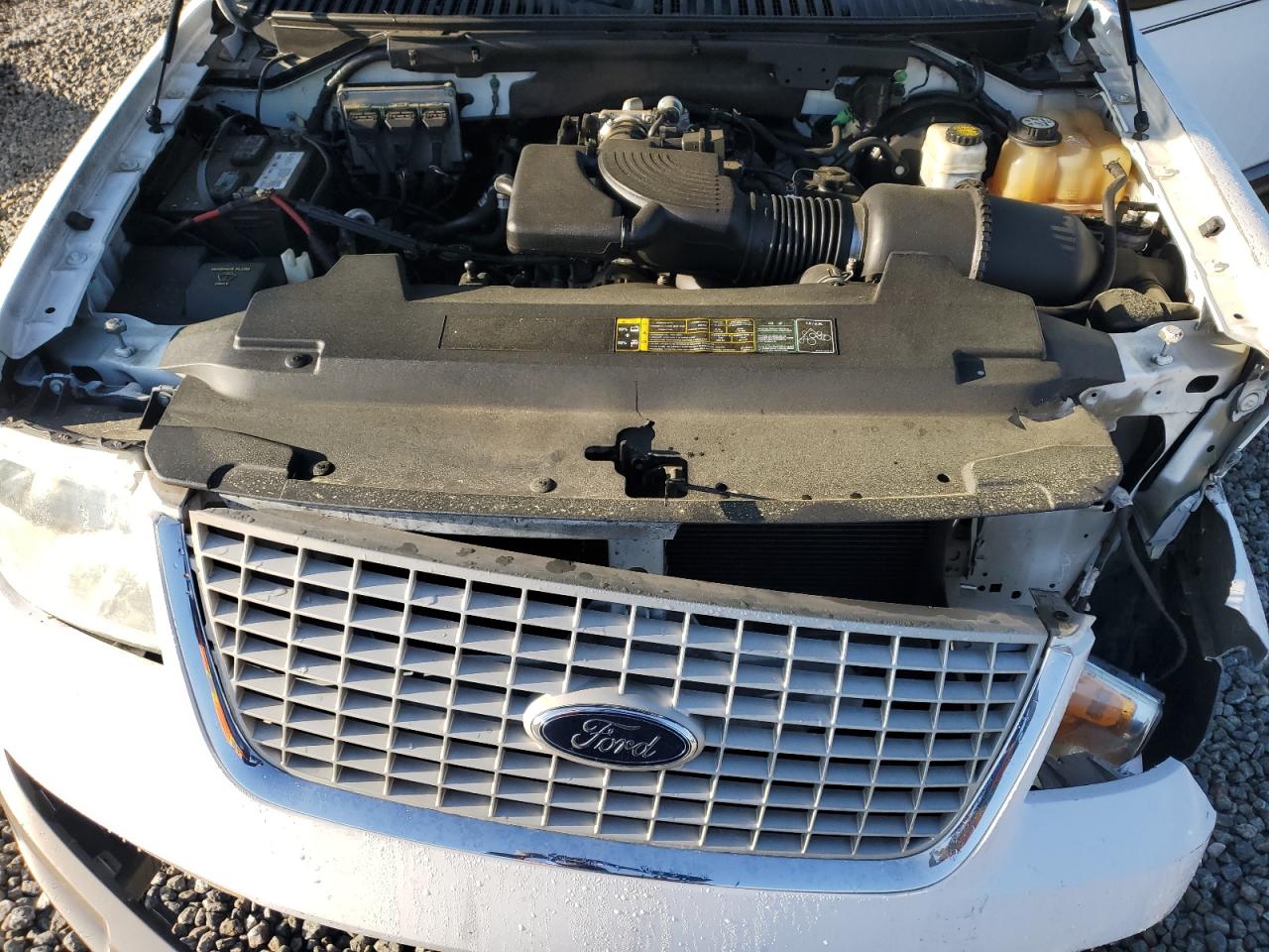 2004 Ford Expedition Eddie Bauer VIN: 1FMEU17W24LA46925 Lot: 52750065