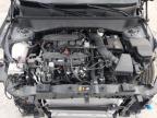 2024 Hyundai Kona Limited للبيع في Lawrenceburg، KY - Front End