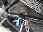 2023 Honda Cmx300  for Sale in Fredericksburg, VA - Side