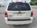 2009 Ford Escape Xlt de vânzare în Lebanon, TN - Front End