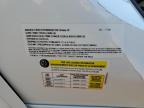 2025 Brinkleyrv Brinkleyrv en Venta en China Grove, NC - Side