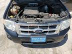 2012 Ford Escape Xlt   for Sale in Ocala, FL - Rear End