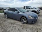 2012 Nissan Maxima S na sprzedaż w Magna, UT - Rear End