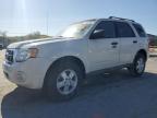 2009 Ford Escape Xlt for Sale in Lebanon, TN - Hail