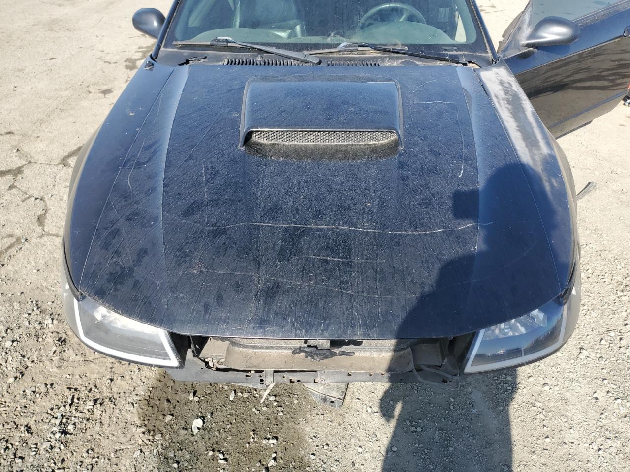 2002 Ford Mustang Gt VIN: 1FAFP42X62F102450 Lot: 51682435