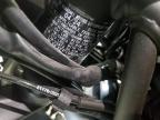 2024 KAWASAKI EX650 P for sale at Copart SC - COLUMBIA