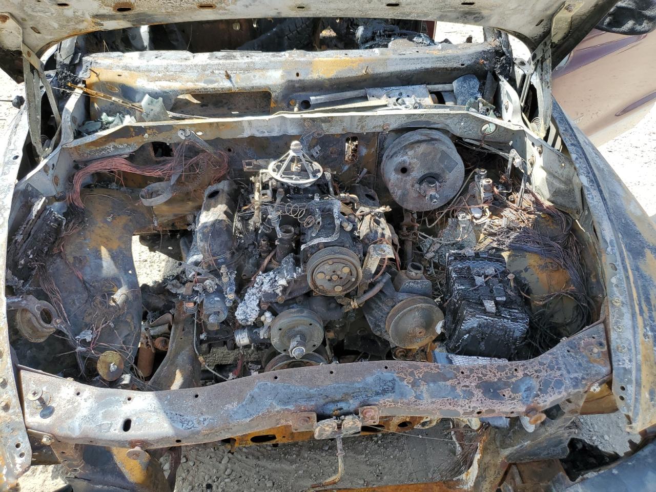 2000 Dodge Dakota VIN: 1B7GG22X5YS551203 Lot: 54074325