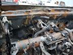 2024 Hyundai Santa Cruz Sel na sprzedaż w Oklahoma City, OK - Burn