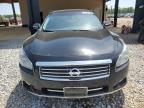 2009 Nissan Maxima S for Sale in Tanner, AL - Side
