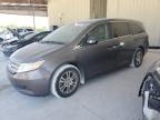 2013 HONDA ODYSSEY EXL à vendre chez Copart FL - MIAMI SOUTH