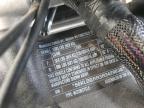 2024 Indian Motorcycle Co. Pursuit Limited for Sale in Franklin, WI - All Over