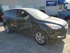 2013 Ford Escape Sel for Sale in Louisville, KY - Side