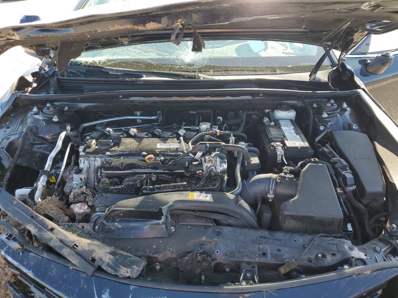 2021 Toyota Camry Le VIN: 4T1C11BK8MU021686 Lot: 54347415