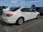 2009 Honda Accord Exl en Venta en Wilmington, CA - Minor Dent/Scratches
