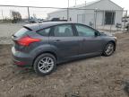 2015 Ford Focus Se იყიდება Cicero-ში, IN - Front End