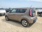 San Antonio, TX에서 판매 중인 2016 Kia Soul    - Hail