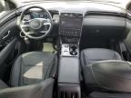 2023 Hyundai Tucson Limited en Venta en Memphis, TN - Front End