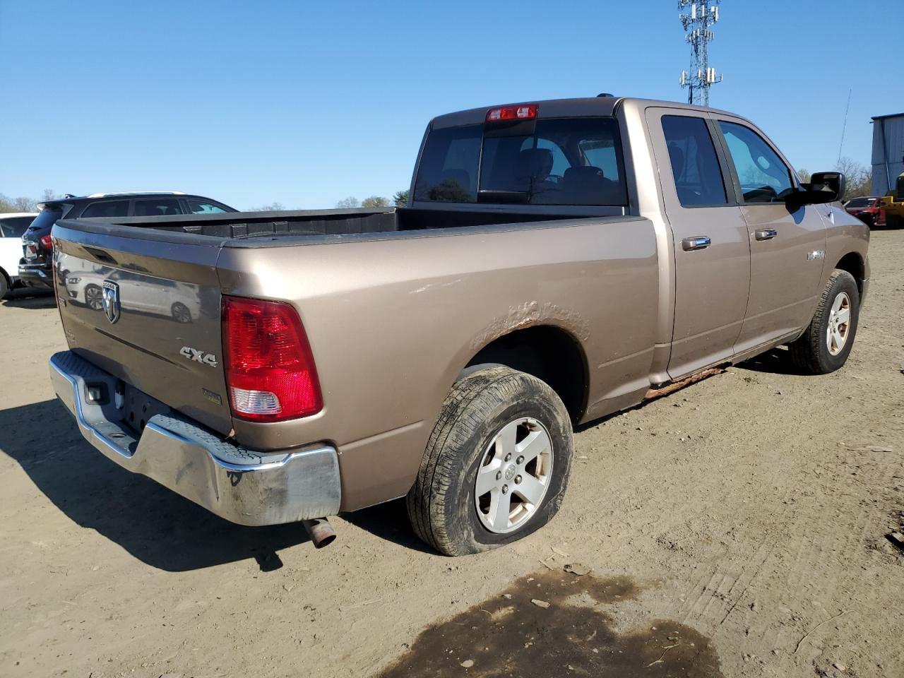 2010 Dodge Ram 1500 beige null gas 1D7RV1GP7AS159692 photo #4